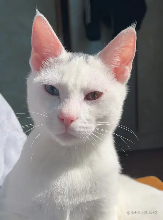 Pasted Graphic 1.png