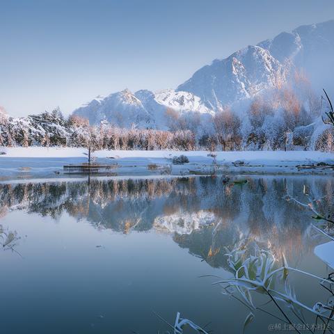 小喵咪爱吃鱼于2023-12-20 10:05发布的图片