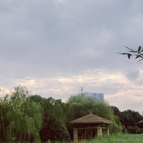 __Petrichor于2024-06-18 17:39发布的图片