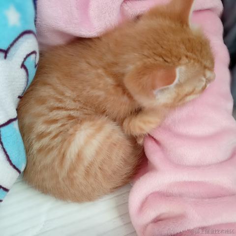 外貌协会金钱豹于2022-02-27 10:46发布的图片