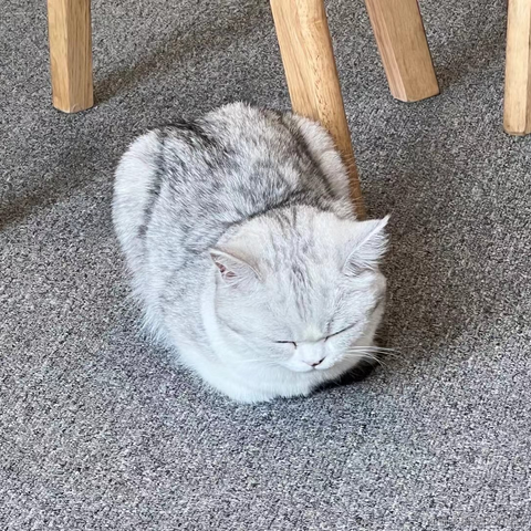 晚比大魔王于2022-11-24 09:24发布的图片