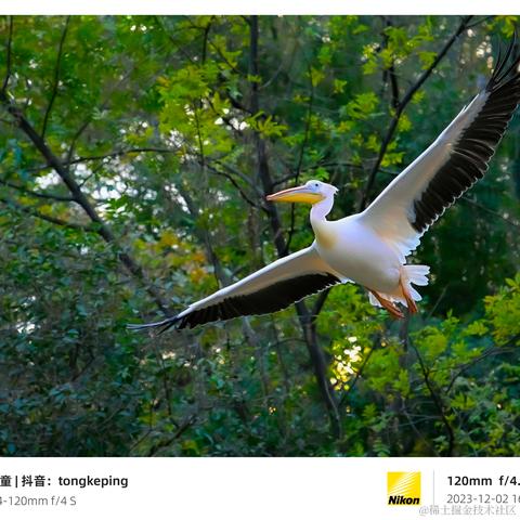 光影童于2023-12-11 11:15发布的图片