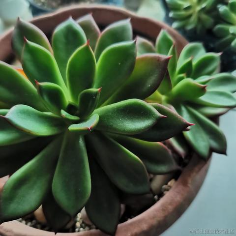 证果果于2022-12-04 09:04发布的图片