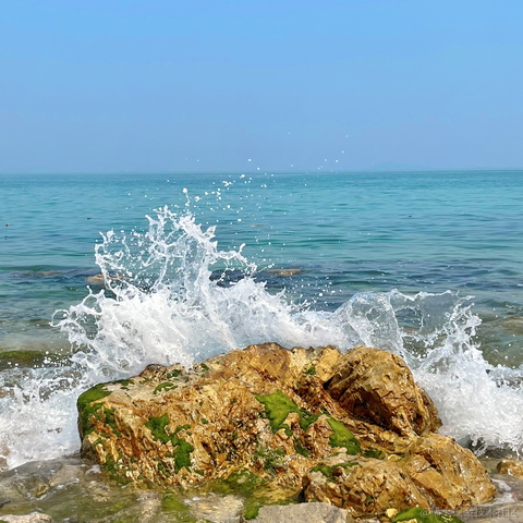 前端摸鱼大王于2023-08-25 10:03发布的图片