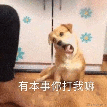 有一只猪于2022-04-27 12:23发布的图片