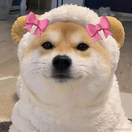 维尼wmw于2022-12-25 00:29发布的图片