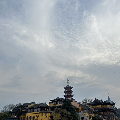 自由的_鱼于2023-03-20 17:33发布的图片