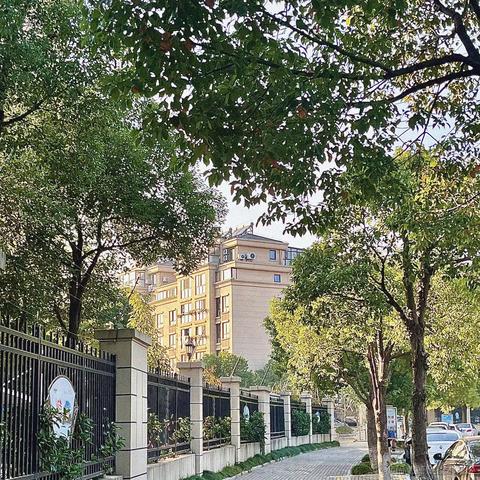 天使不穿白衣于2022-12-09 09:51发布的图片