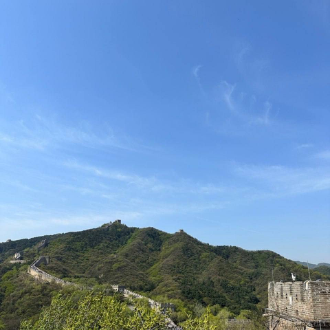 有思考的猪于2023-05-02 16:05发布的图片