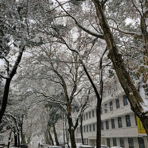 Topaz于2022-11-30 14:50发布的图片