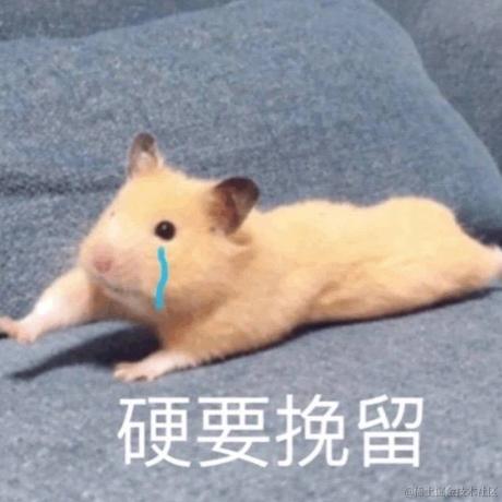 yeykira于2022-11-29 14:20发布的图片