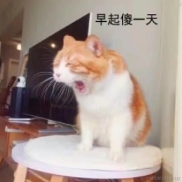 锅里没有魚于2022-11-20 11:39发布的图片