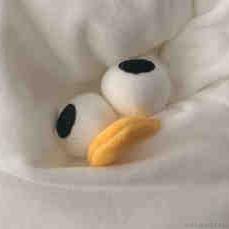 午夜狂鸽于2022-12-01 09:00发布的图片