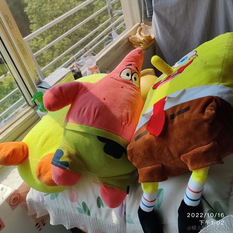 悲伤的猪大肠于2022-10-17 00:10发布的图片