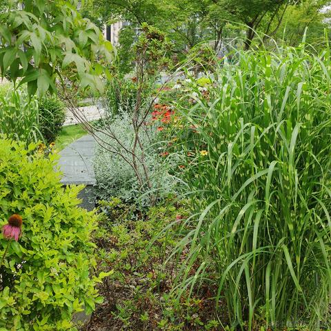 吃鱼徐于2023-05-30 12:35发布的图片