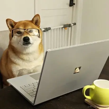 南阳鄙夫于2021-01-22 16:18发布的图片