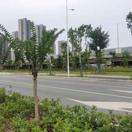 贝拉多嘉然芬奇于2023-07-03 06:54发布的图片