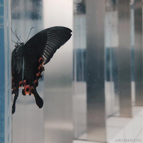 一般通过修伞er于2022-12-08 17:31发布的图片