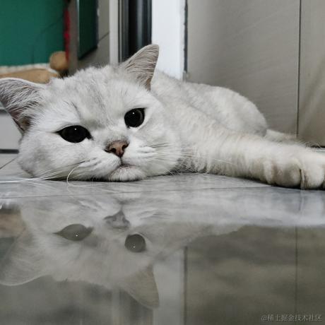 叨叨呀于2022-06-13 09:18发布的图片