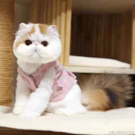 来自艾欧尼亚的最强王者于2022-01-07 02:39发布的图片