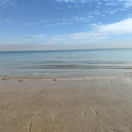 滇滇惠方卷于2022-12-03 20:12发布的图片