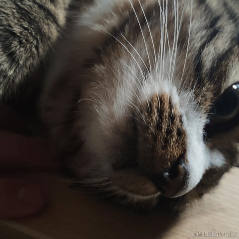 KuuBee于2020-08-11 13:40发布的图片