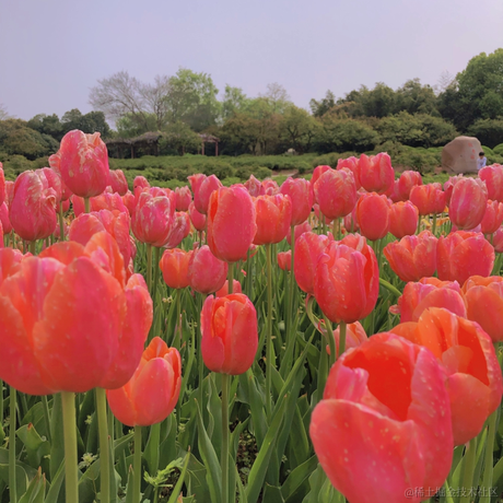 Remember_r于2022-11-24 08:21发布的图片