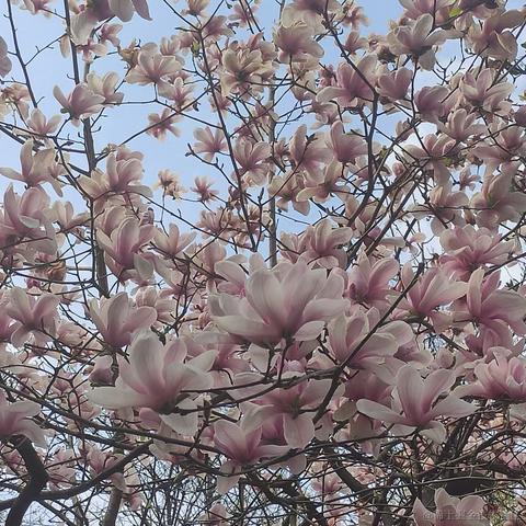 无糖气泡水于2023-03-15 07:53发布的图片