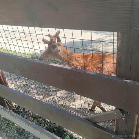 言顺于2021-06-06 13:46发布的图片