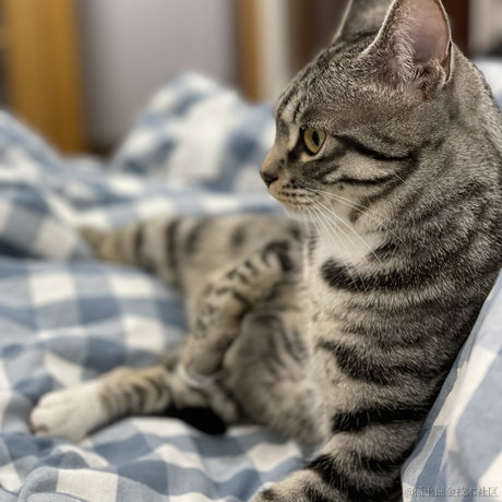 小翁小翁百万富翁于2022-12-22 20:06发布的图片