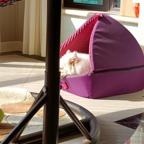 然与我与世界于2022-12-17 12:34发布的图片