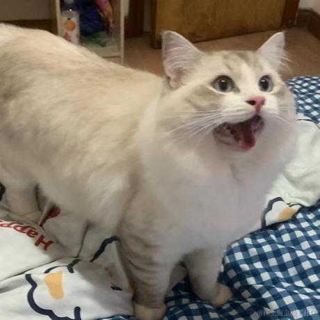 吃很多很多饭于2023-07-11 08:39发布的图片