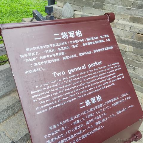 爱吃荆芥于2023-03-27 02:05发布的图片