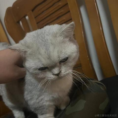 老丈人于2024-05-14 09:12发布的图片