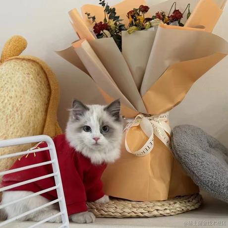 小赵学不会于2024-01-24 11:12发布的图片