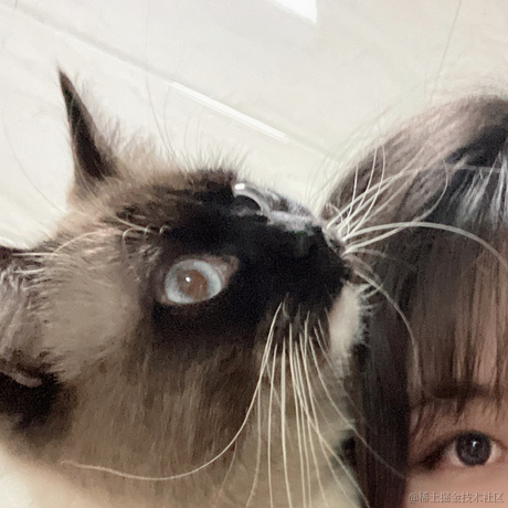 小鲸鱼mm于2022-04-18 17:41发布的图片