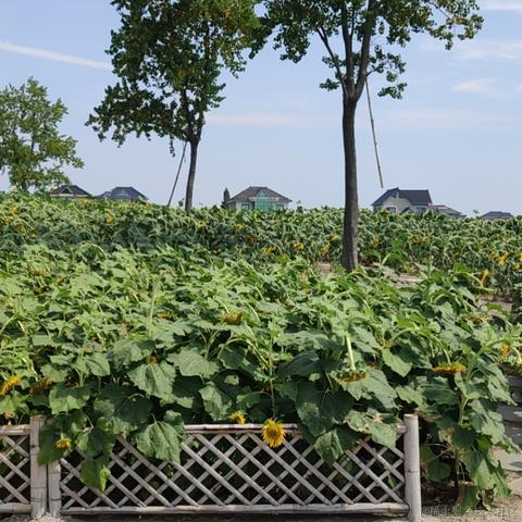 此帐号已注销于2022-08-17 12:20发布的图片