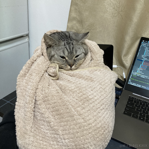 _yile于2022-12-13 00:59发布的图片