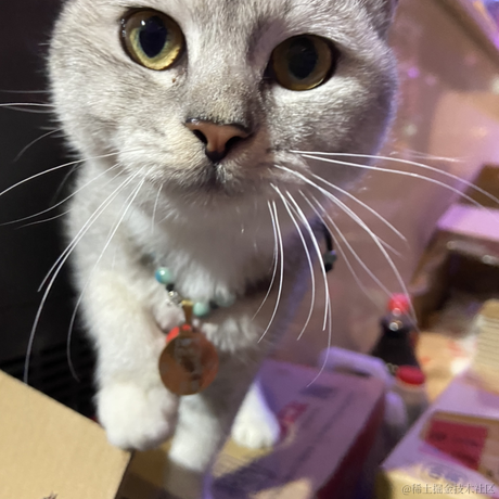 狗子君于2022-11-30 21:44发布的图片