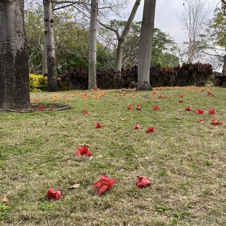 user许于2023-04-21 22:31发布的图片