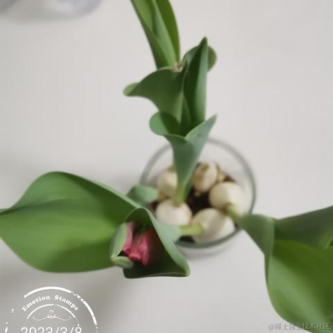 老柴不加班于2023-03-09 13:35发布的图片