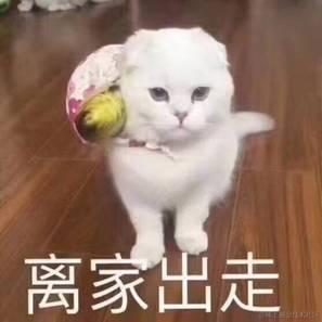 不知魏晋于2022-06-10 17:08发布的图片