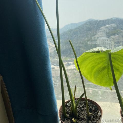 已注销于2024-03-13 12:14发布的图片