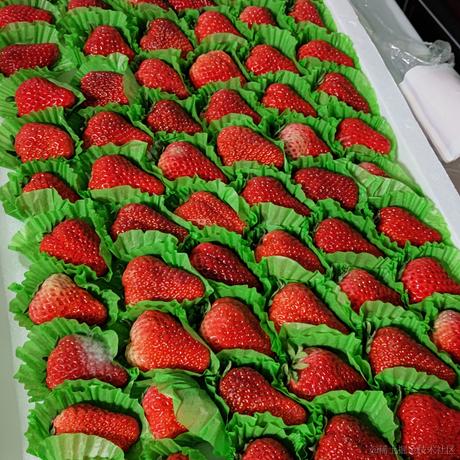 w减速完再走于2022-11-28 11:50发布的图片