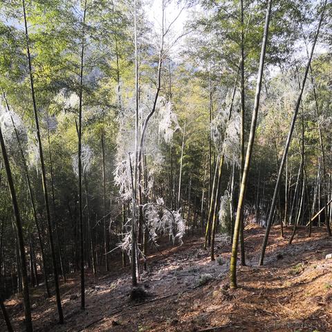 卑微打工仔在线陪聊于2023-01-25 13:47发布的图片