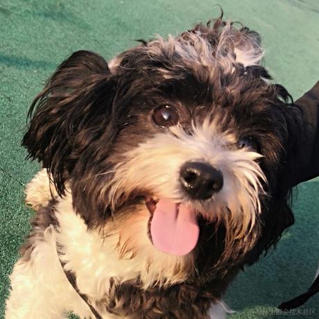 南极一块修炼千年的大冰块于2022-06-30 17:47发布的图片