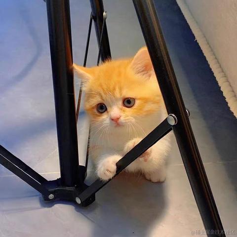 来自艾欧尼亚的最强王者于2022-01-07 22:05发布的图片