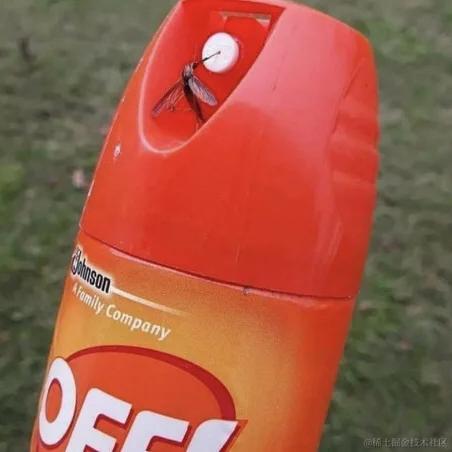 大鹏鹏于2022-12-26 11:46发布的图片