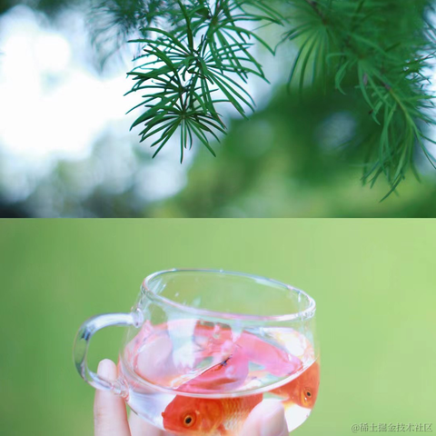 红毛丹于2022-04-22 09:20发布的图片