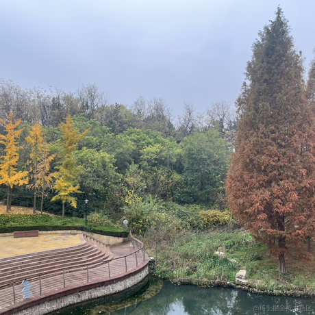 低调的牛魔王于2022-12-11 08:24发布的图片